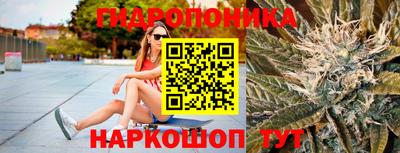 молекула духа Кулебаки