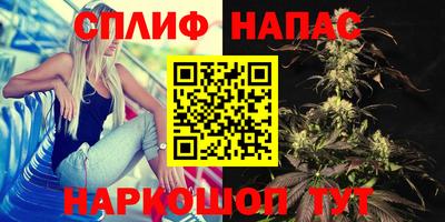 apvp Кунгур